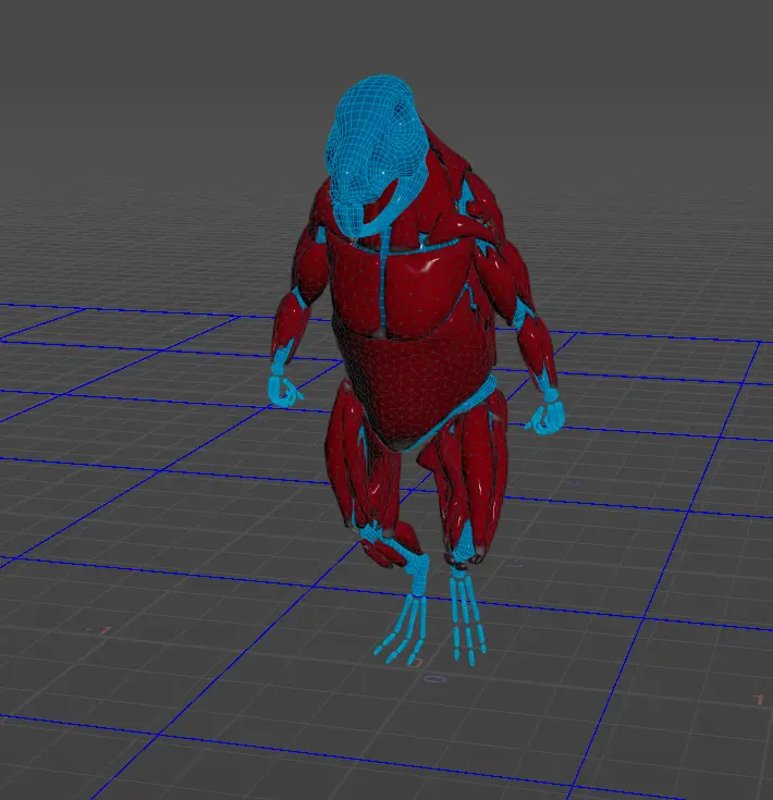 Muscle Stiffness Test